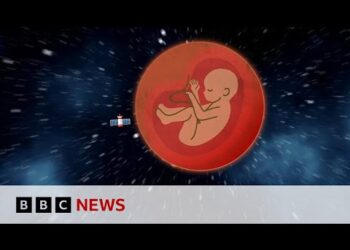 Вчений пояснює ризики, якщо дитина народиться у космосі