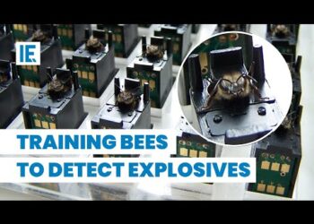 Мед віком 2,5 тисячі років виявили у храмі Стародавньої Греції