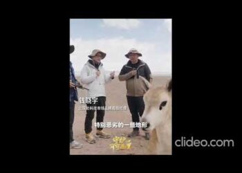 Вчені вперше впровадили біонічного робота у череду тибетських антилоп