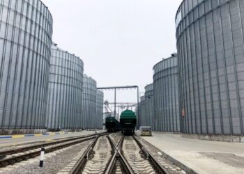 В порту “Южный” построят крупный зерновой терминал