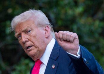 Трамп отстранился от мирных переговоров Зеленского и Путина, – The Guardian