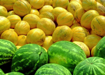 В Украине изменились цены на арбузы и дыни: где дешевле покупать