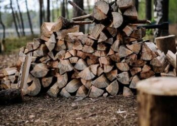 Одноразовая помощь на твердое топливо до 20 тысяч гривен: кто может получить