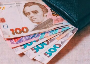 В Украине появится новый вид помощи: кому положена и как оформить