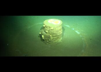 Загадкові кільця на дні океану виявили токсичну таємницю