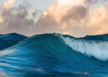 Температура в Средиземном море растет до рекордных уровней: ученые предупреждают о серьезных рисках