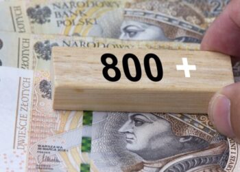 Выплаты “800+” теперь не для всех: украинцам в Польше назвали новые обязательные условия