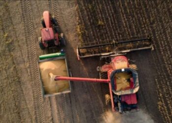 Аграрии получат компенсацию 25% стоимости украинской агротехники