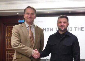 Зеленский встретился с Сикорским: обсудили совместную защиту от российских атак