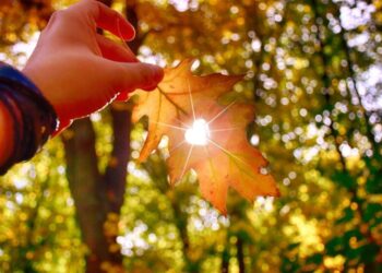 Погода сведёт с ума: синоптики предупредили о новых вызовах