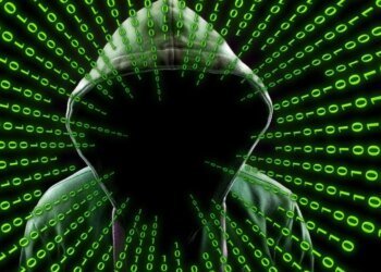 Масштабний удар по кіберзлодіях у ЄС: правоохоронці заблокували понад 1400 шахрайських веб-сайтів