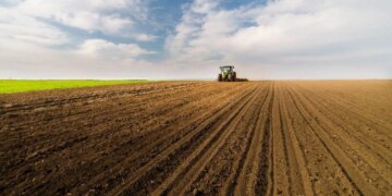 Посевная-2025: озимыми засеяно 82% от запланированного, три области завершили сев
