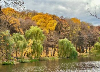 До +18 градусов: синоптик Диденко анонсировала «идеальный осенний день» в Украине