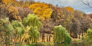 До +18 градусов: синоптик Диденко анонсировала «идеальный осенний день» в Украине