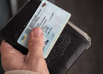 Водительские права онлайн: украинцам объяснили, как обновить в «Дія» за минуты