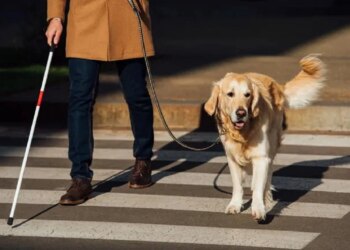 Международный день слепых и Всемирный день доброты: что отмечают 13 ноября