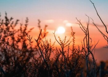 Украину ожидает переменная облачность и потепление до +13° — Гидрометцентр