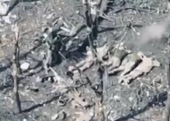 Окупанти розстріляли 5 полонених військовослужбовців ЗСУ, розпочато розслідування – Офіс Генпрокурора