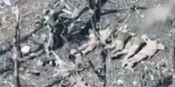 Окупанти розстріляли 5 полонених військовослужбовців ЗСУ, розпочато розслідування – Офіс Генпрокурора