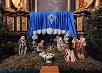 Без ялинки, але із шопкою: які міста в Україні відмовились від новорічних дерев