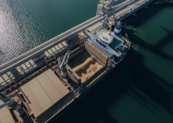 Экспорт зерна: Украина отстает от прошлогодних показателей на миллионы тонн