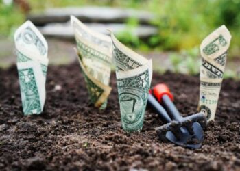 Аренда земли резко подорожает: сколько заплатят украинцы в 2026 году