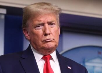 Трамп образив ведучого Late Show Стівена Колберта і запропонував приспати його