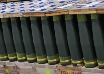 Після двох рекордних років експорт зброї Німеччини пішов на спад