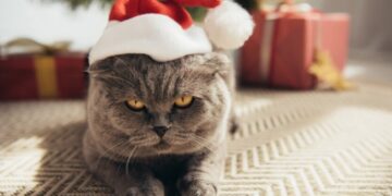 Украину скуют лютые морозы: Диденко анонсировала приход настоящей зимы