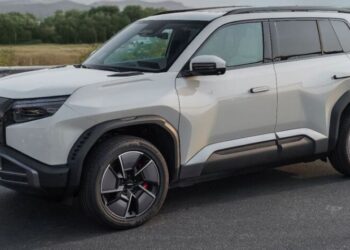 Водители Украины массово переходят на китайские электрокары: какие авто выбирают