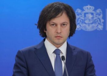 У Тбілісі визнали: у водомети під час протестів справді додавали речовину, але це «не був каміт»