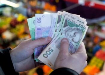 Скачок цен на продукты: как изменится стоимость мяса, яиц и овощей в декабре