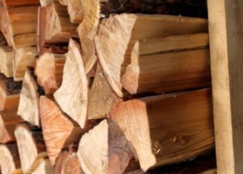 Экономия и тепло: лесник назвал идеальное время для покупки дров, чтобы сэкономить 30%