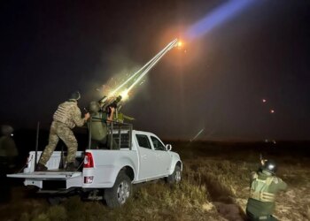 Системи ППО України: види, призначення та можливості ураження