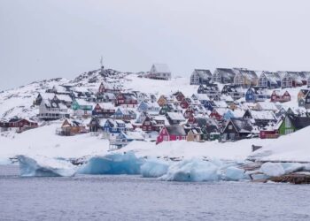 У Нідерландах розкритикували митні заяви Трампа та закликали США до деескалації