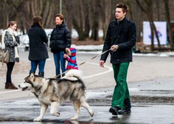 Снегопады и морозы до -17: синоптики предупредили о резком ухудшении погоды
