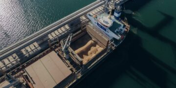 Экспорт тормозит: Украина значительно уменьшила поставки зерна за границу