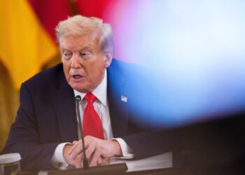 “Опасная спираль”: Финляндия и Норвегия ответили на тарифные угрозы Трампа