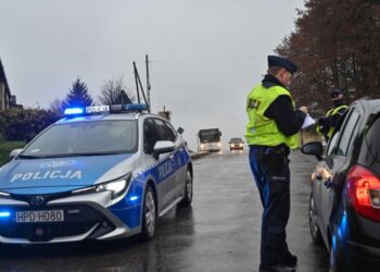 В Польше отменят бессрочные водительские права: когда документы станут недействительными