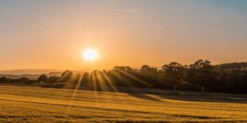 Миллиард вместо “откатов”: как “Земельный банк” вывел из тени тысячи гектаров государственной земли