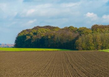 Рынок земли: где продают самые дорогие гектары во время войны
