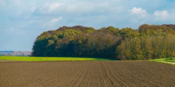 Рынок земли: где продают самые дорогие гектары во время войны