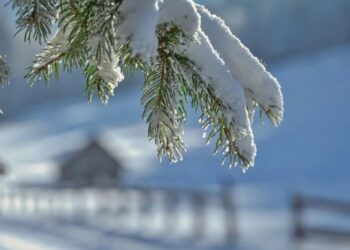 Украину продолжат сковывать сильные морозы: синоптики предупредили пешеходов и водителей