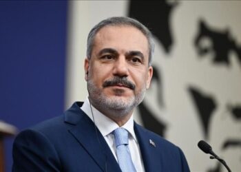 Туреччина виступила проти військового втручання в Іран