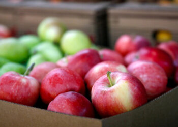 Ценовой шок в супермаркетах: какие продукты больше всего подорожают до конца зимы