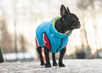 “Подготовьте цитрамон”: Диденко предупредила об опасном сочетании погодных условий