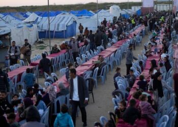 Німецькі політики хочуть завадити терористам у Газі отримувати вигоду з гуманітарної допомоги