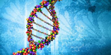 Штучний інтелект AlphaGenome від DeepMind розшифрував "темний геном" людини