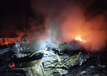 Атака рф по Запоріжжю і області: поранено 10 людей, знищено притулок для собак, загинули тварини