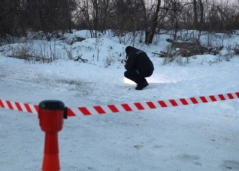 Кинув гранату у поліцейських та військових ТЦК: у Черкасах затримали 55-річного чоловіка